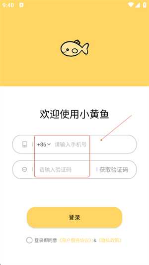 小黄鱼写作