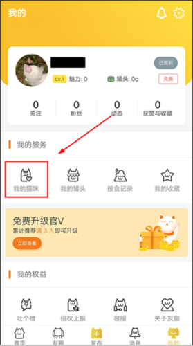 友猫3