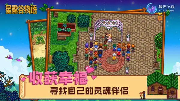 星露谷物语1.6汉化版手机