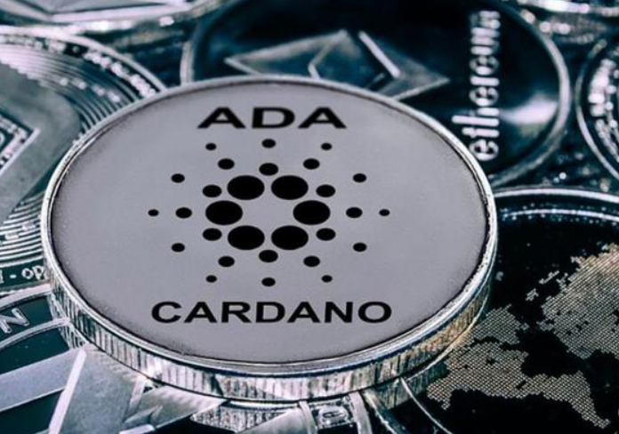 卡尔达诺是什么币种，它是哪个国家的？卡尔达诺币简介