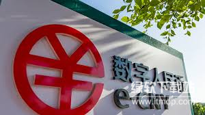 中国唯一合法加密货币是什么？它只能用于国内支付吗？