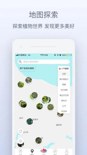 花伴侣植物识别app v3.2.22