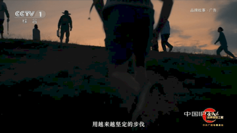 涩涩TV2024最新版
