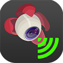 大疆荔枝Litchi Vue V1.2.1-g