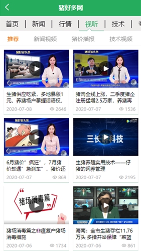 猪好多app v2.8
