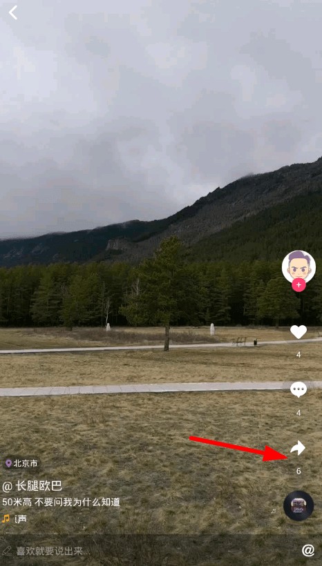 蘑菇视频免费版