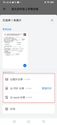 蜜蜂试卷app17