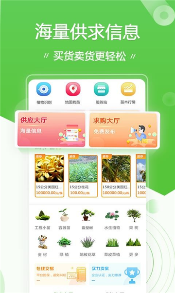 苗木通app图片4