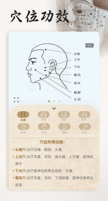 中医古典 v1.1安卓版下载
