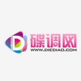 碟调网 v5.4.0安卓版下载