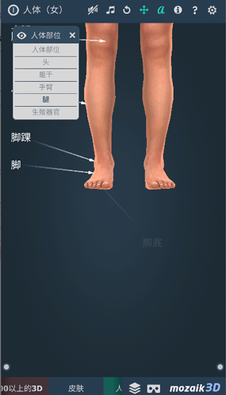 Humanbody app官方下载安装截图