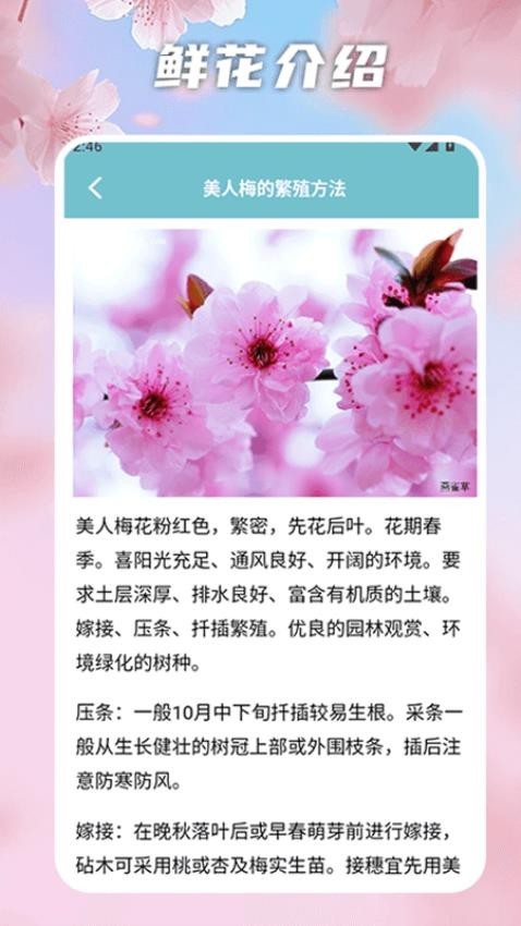 我爱开花 v1.2安卓版下载