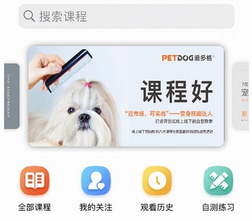 派多格宠物2