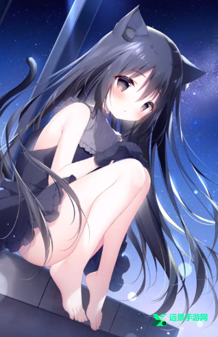 星空列车与白的旅行