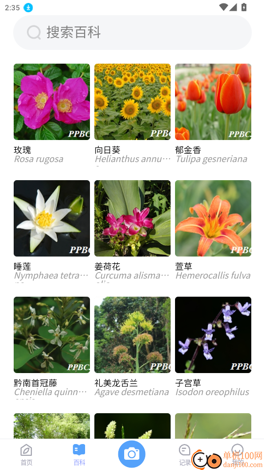 花伴侣专业版官网版