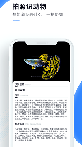 软件特色配图1
