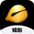 
                修心木鱼
            