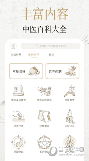 中济经络穴位