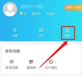 兰精灵12