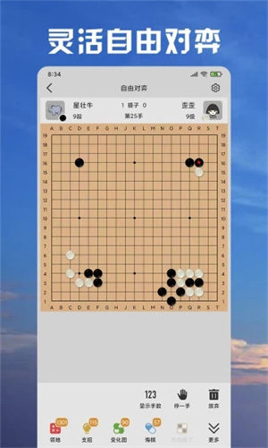 星阵围棋手游截图