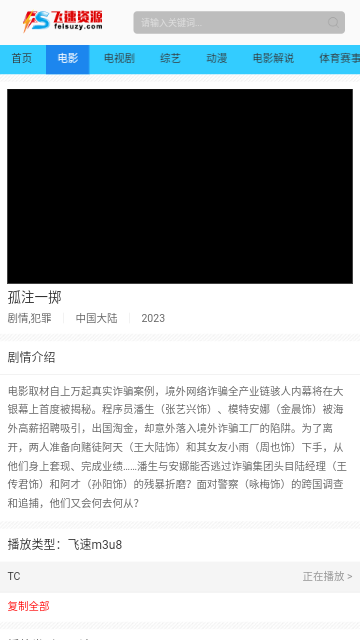 飞速资源永久vip版