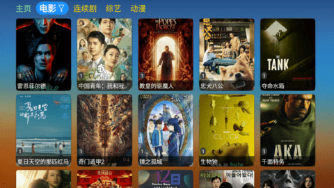 刺桐TV去广告版