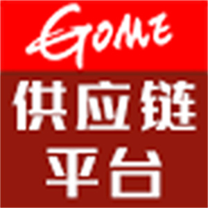 国美ecp系统