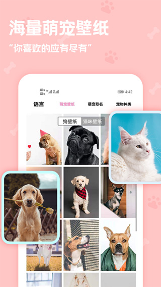 动物语言翻译器 v2.4.0