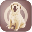 ˹app