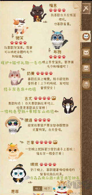 猫咪的秘密森林2025