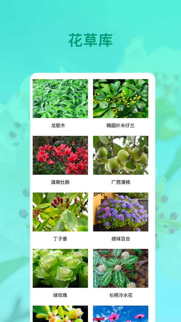 识花 v5.0.2