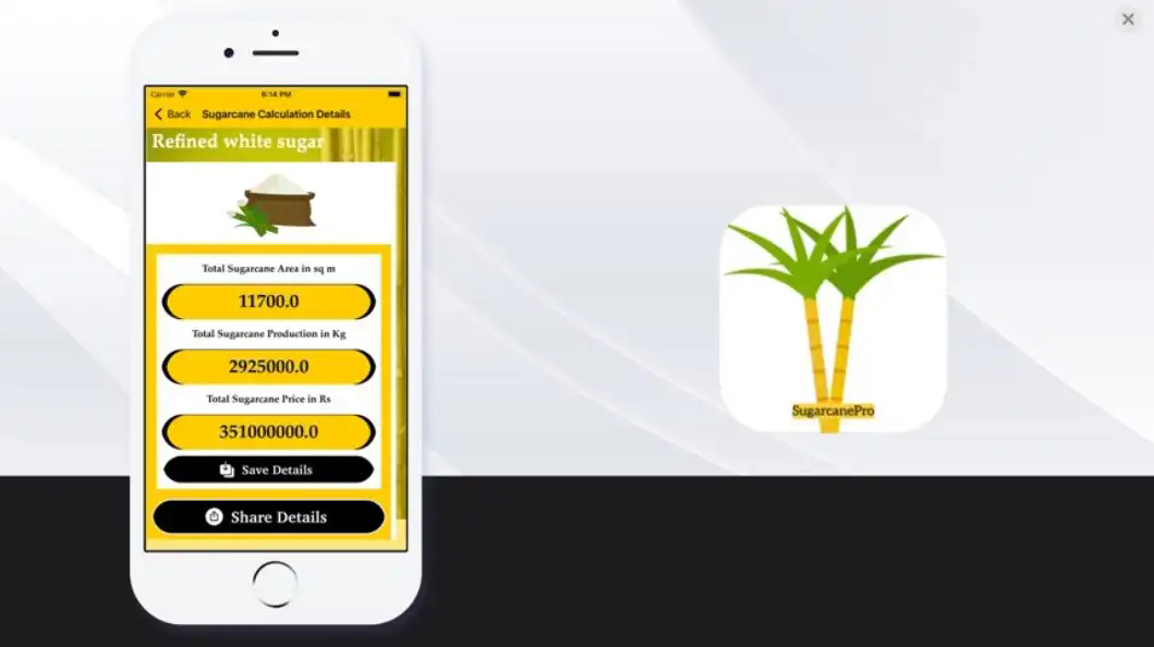 蔗糖职业官网版