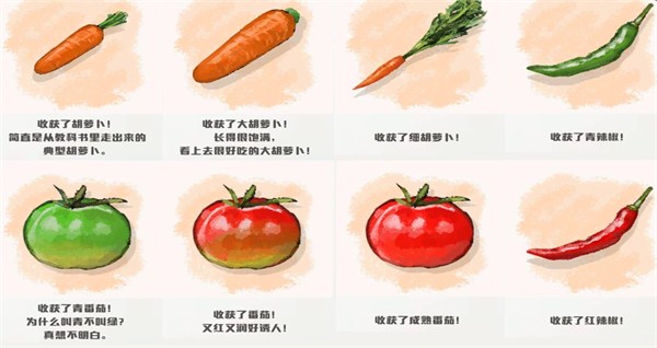 蜡笔小新我与博士的暑假