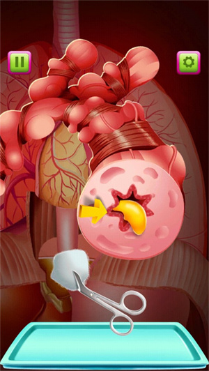 最新版新手指南截图6