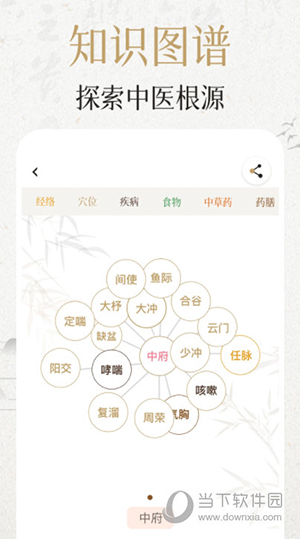 中济经络穴位