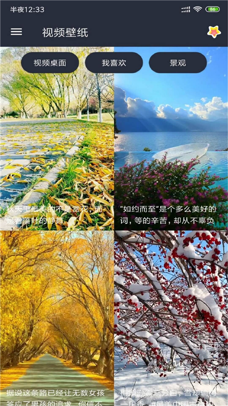 视频壁纸3