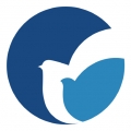 MedPeer V3.9.250618下载