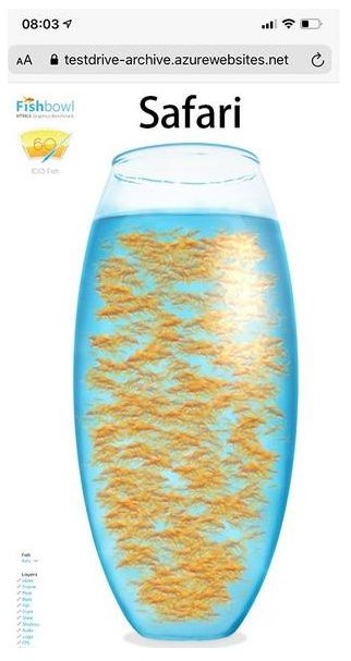 fishbowl手机测试