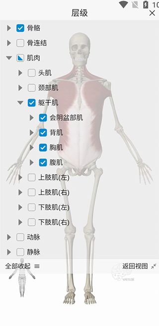 基础操作教程截图2