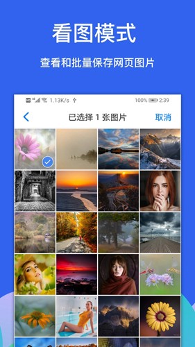 Alook DLNA投屏app v10.7