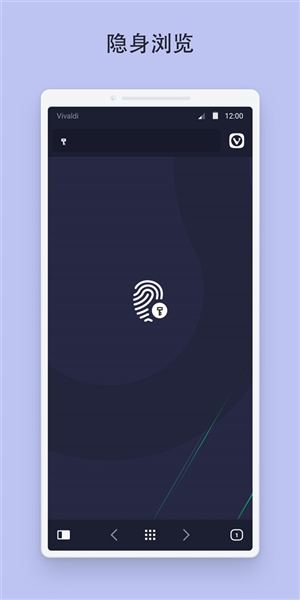 vivaldi浏览器图片5
