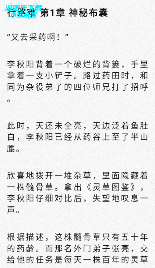 方寸阅读开源版