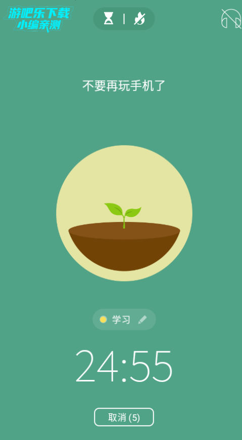 forest专注森林全树种版