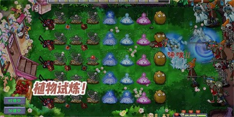 植物大战僵尸共生版正版