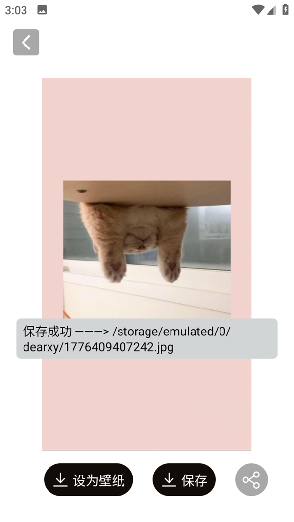 怎么保存图片截图3