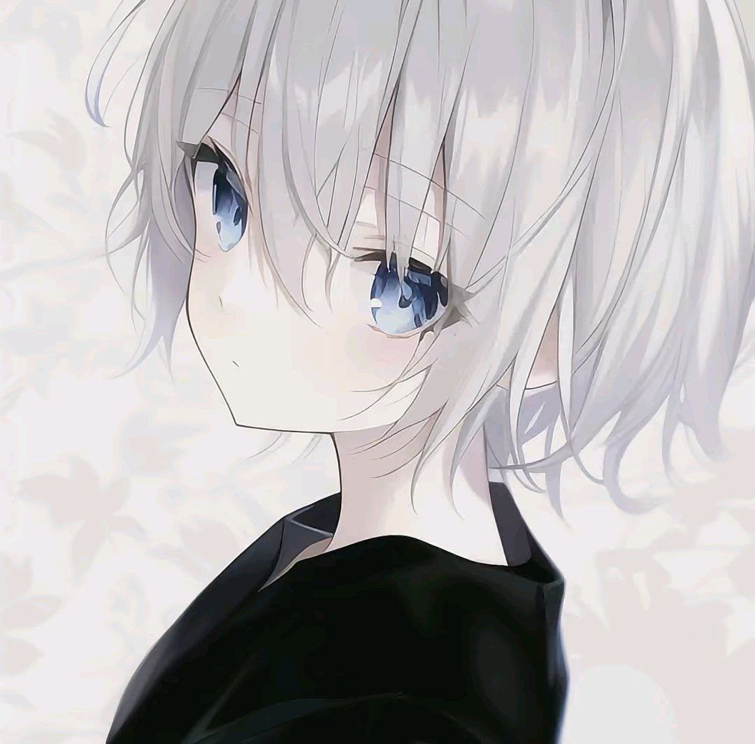 摸金内部直装3.0软件