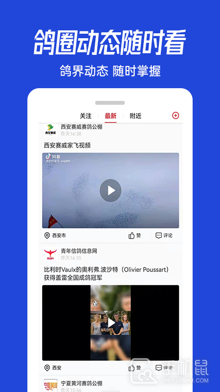 青鸽网 v4.0.2