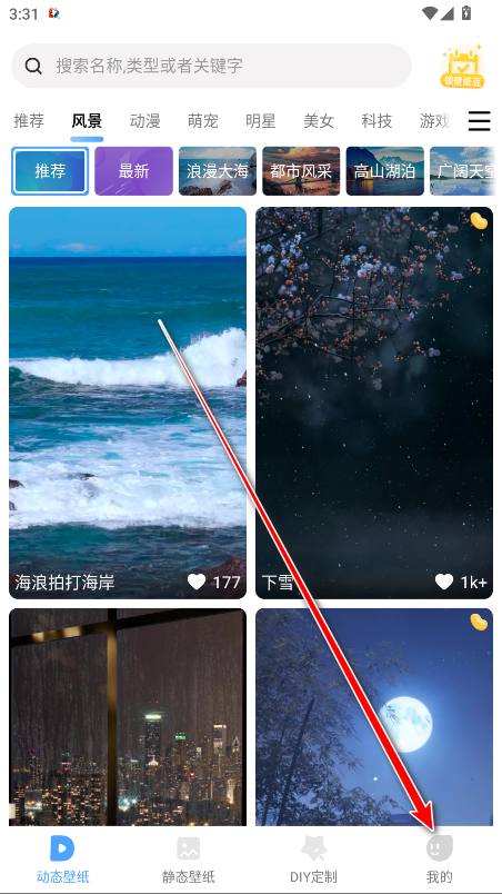 小鸟壁纸会员解锁版