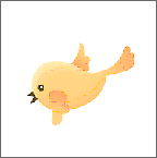 快鸟下载橙色版本无需卡密1.1.0 安卓版