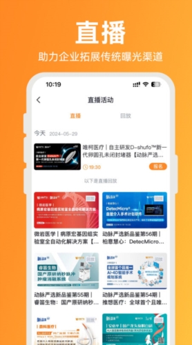动脉网